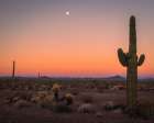 USA-Arizona-Kofa National Wildlife Area-Mountain and desert landscape at sunset Art Print
